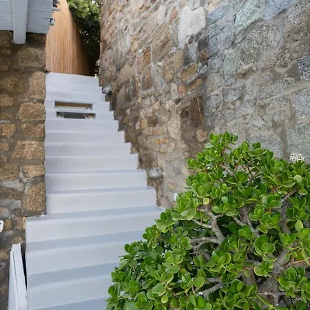Vila Tommaso Mykonos-iconic Pool & Sea View